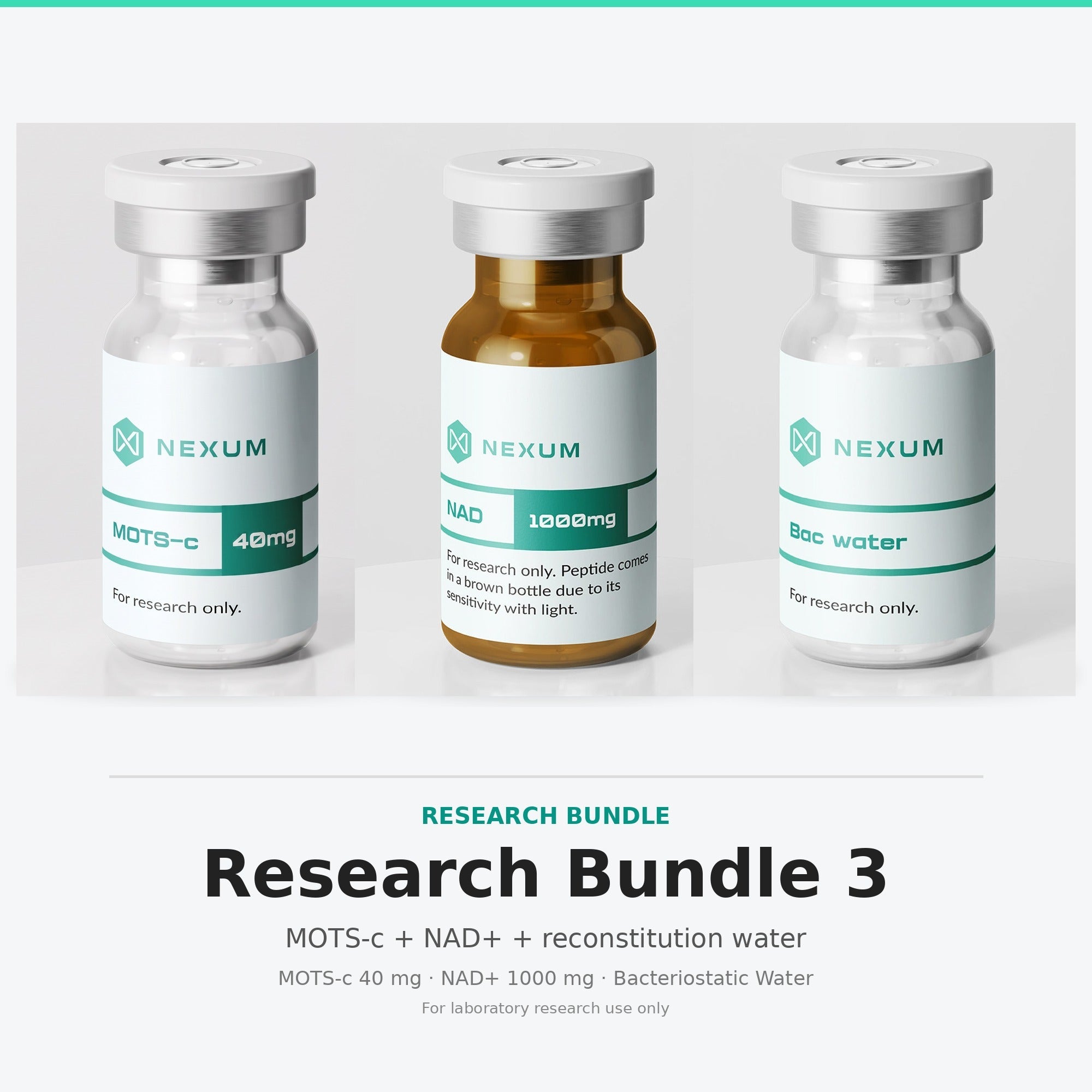 Research Bundle 3
